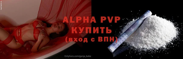 скорость Новозыбков