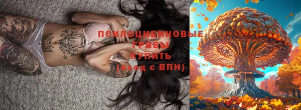 альфа пвп Белокуриха