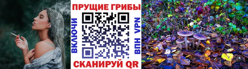 Галлюциногенные грибы Cubensis  мориарти формула  Краснослободск 
